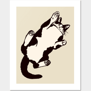 cute cats Posters and Art